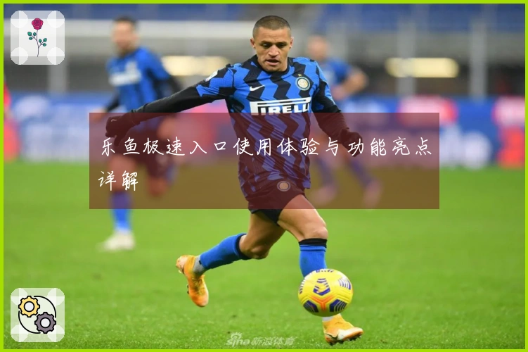 乐鱼极速入口使用体验与功能亮点详解